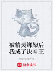 游戏王：我被精灵绑架到决斗都市