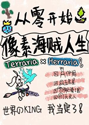 从零开始的像素海贼人生