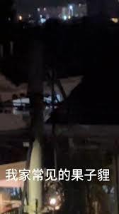 当噩梦入侵现实